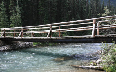 Hiking Trail Update for southern Banff National Park