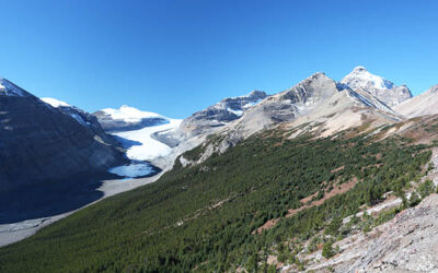 Hiking Parker Ridge in Banff National Park