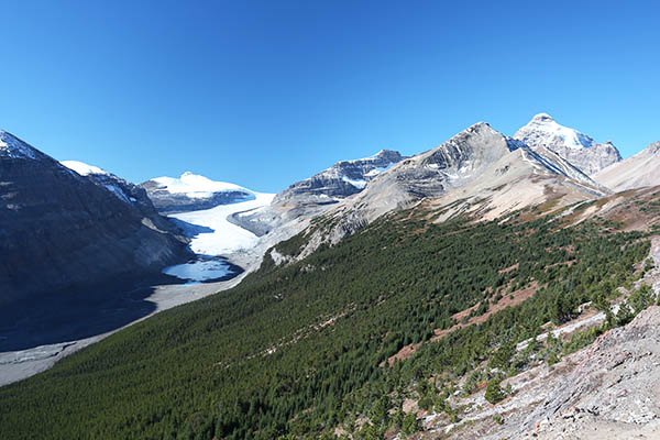 Saskatchewan Glacier from Parker Ridge, Banff National Park
