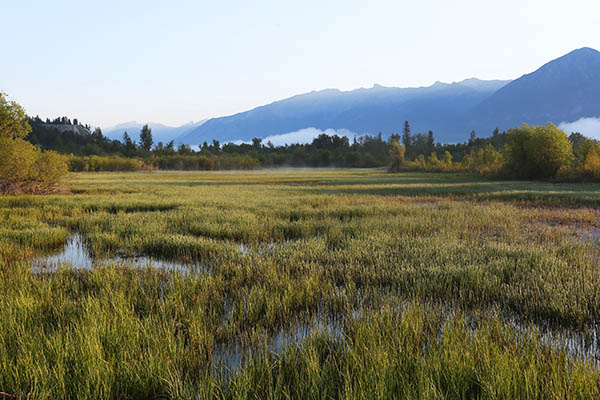 Columbia Valley Wetlands in early spring