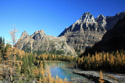 Best Larch Hikes in the Canadian Rockies