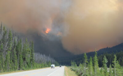 Kootenay National Park wildfires, 2013