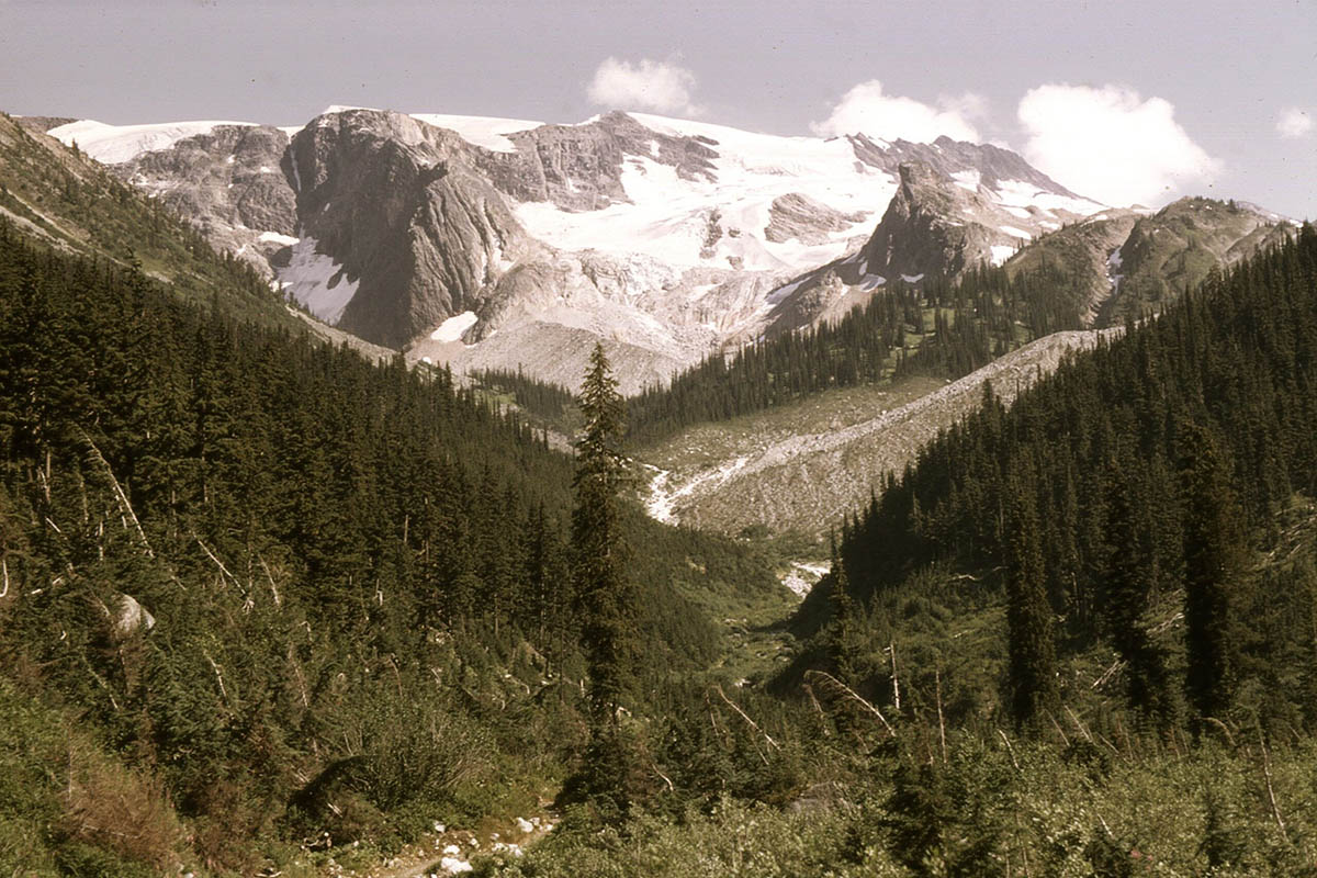 Asulkan Valley near Rogers Pass.