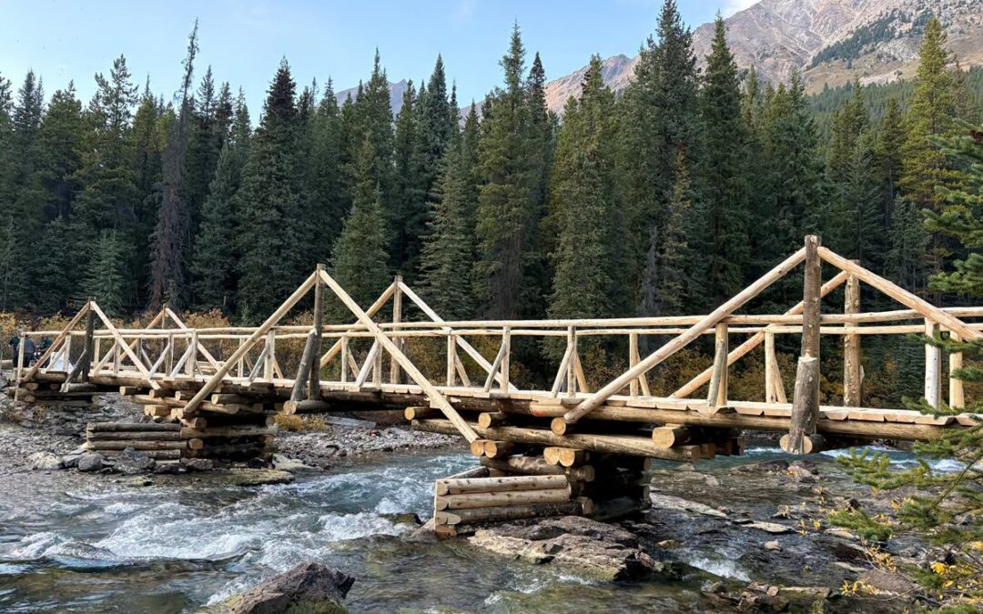 Brazeau River bridge replaced